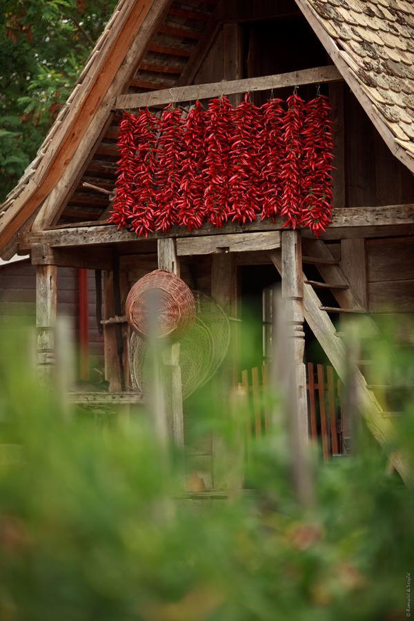 Bed and Breakfast Sobe Kod Baje - Baranjska Kuca Karanac Esterno foto
